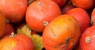 potimarron